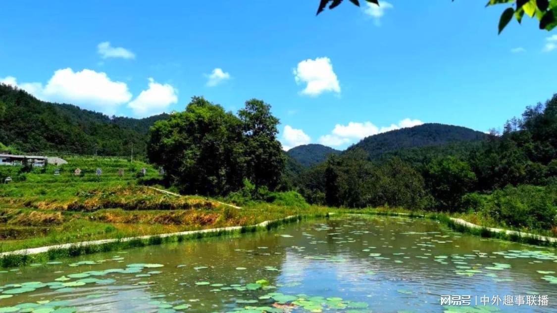 昨日精准推广智能化升级您的物流系统,开启流量增长新征程,抖音赞自助下单平台浏览：提升社交媒体互动量的有效策略指南